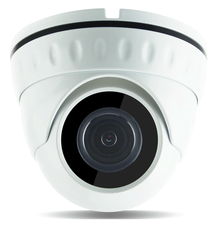 Camera de vidéo surveillance pour les professionnels