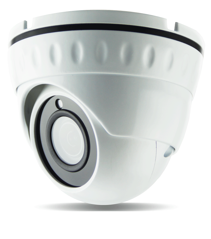 Camera de videosurveillance type dôme